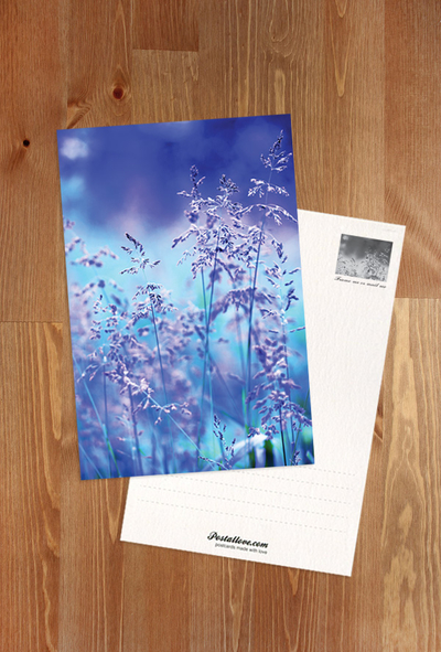 Blue nature