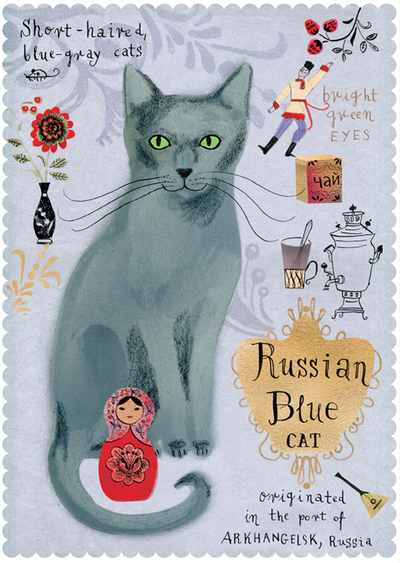 Russian Blue cat