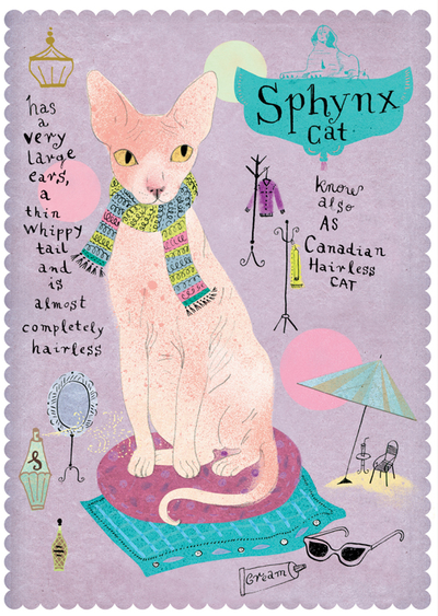 Sphynx cat