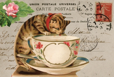 Cat & cup collage