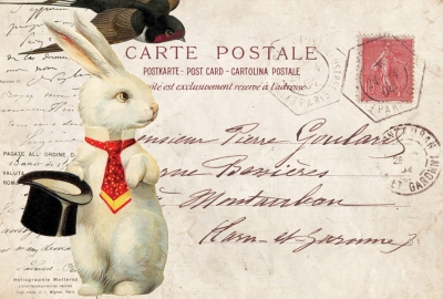 Collage with a rabbit