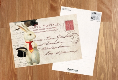 Collage with a rabbit