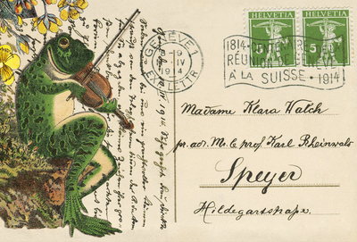 Collage with a frog