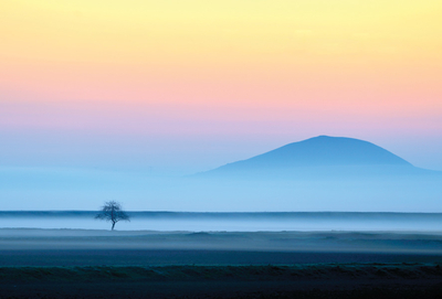 Landscape with a tree