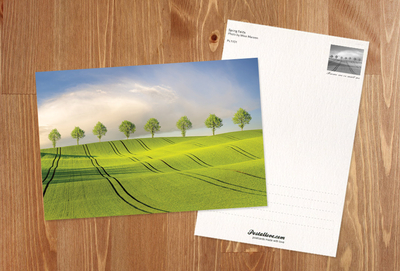 Spring fields