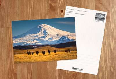 View of the Hekla volcano & Icelandic horses