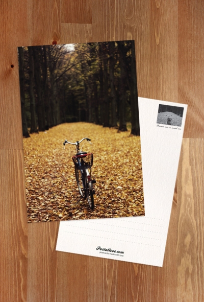 Agata Dobrzańska - Autumn bike