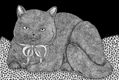 Dobrusia Rurańska - Kitty