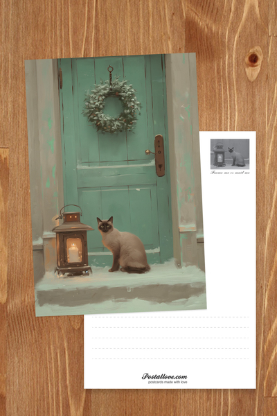 Tonkinese Kitten in Winter