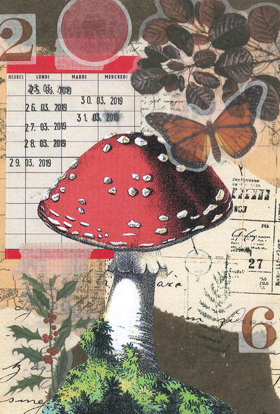 Marika Wieczorek - Toadstool