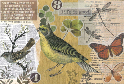 Marika Wieczorek - Bunting bird 