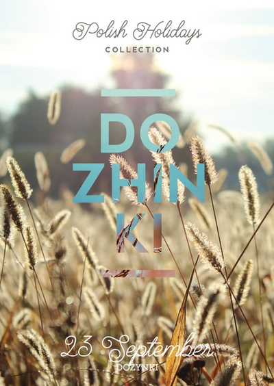 Mr Lemon - Dozhinki