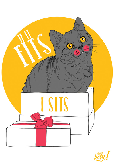 Terakoty - If it fits I sits