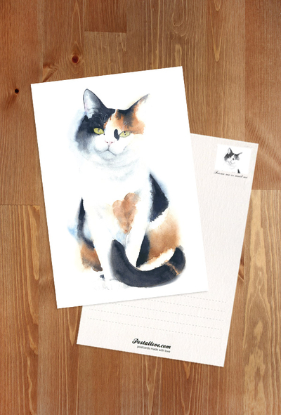 Tricolor cat - watercolor