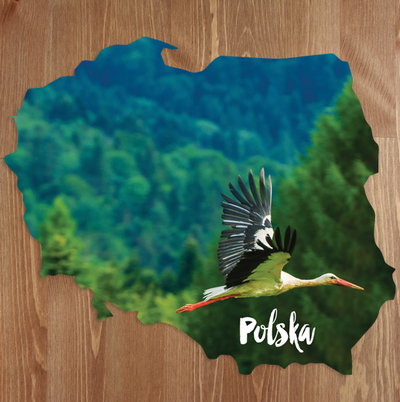 Map - Flying stork