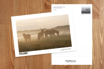 Poland - Love to be here... - Autumn landscape with horses