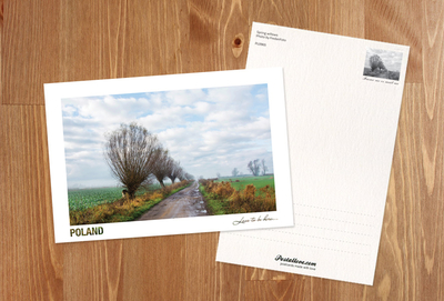 Poland - Love to be here... - Spring willows