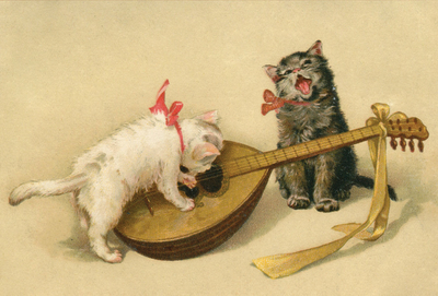 Cat music