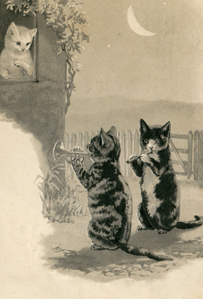 Cat romance