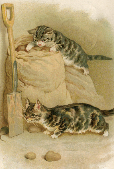 Hunting kittens