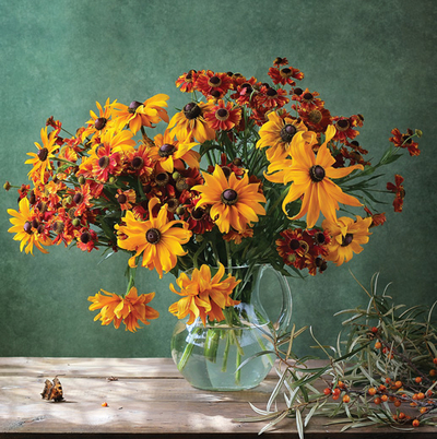 Still life with a butterfly