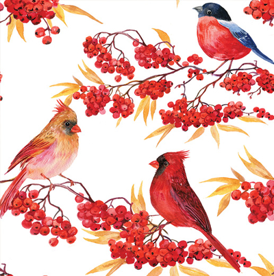 Birds on rowan