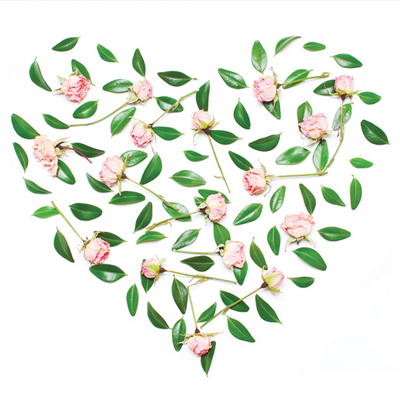 Roses heart