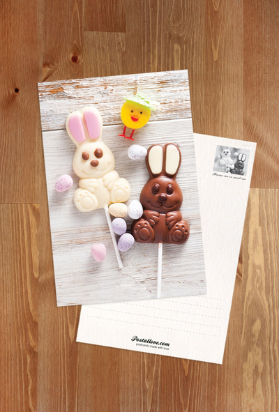 Chocolate bunnies