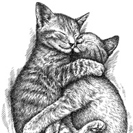 Cuddling kittens