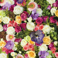 Bookmark - Colorful flowers