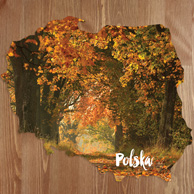 Map - Autumn alley