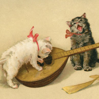Cat music