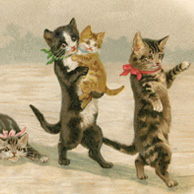 Cat family on the ice